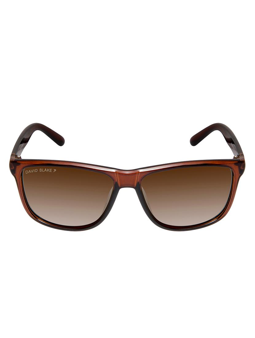 david blake brown wayfarer gradient polarised uv protected sunglass - 16250296 - Zoom Image - 1