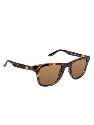 david blake brown wayfarer polarised uv protected sunglass - 16250323 - Standard Image - 2