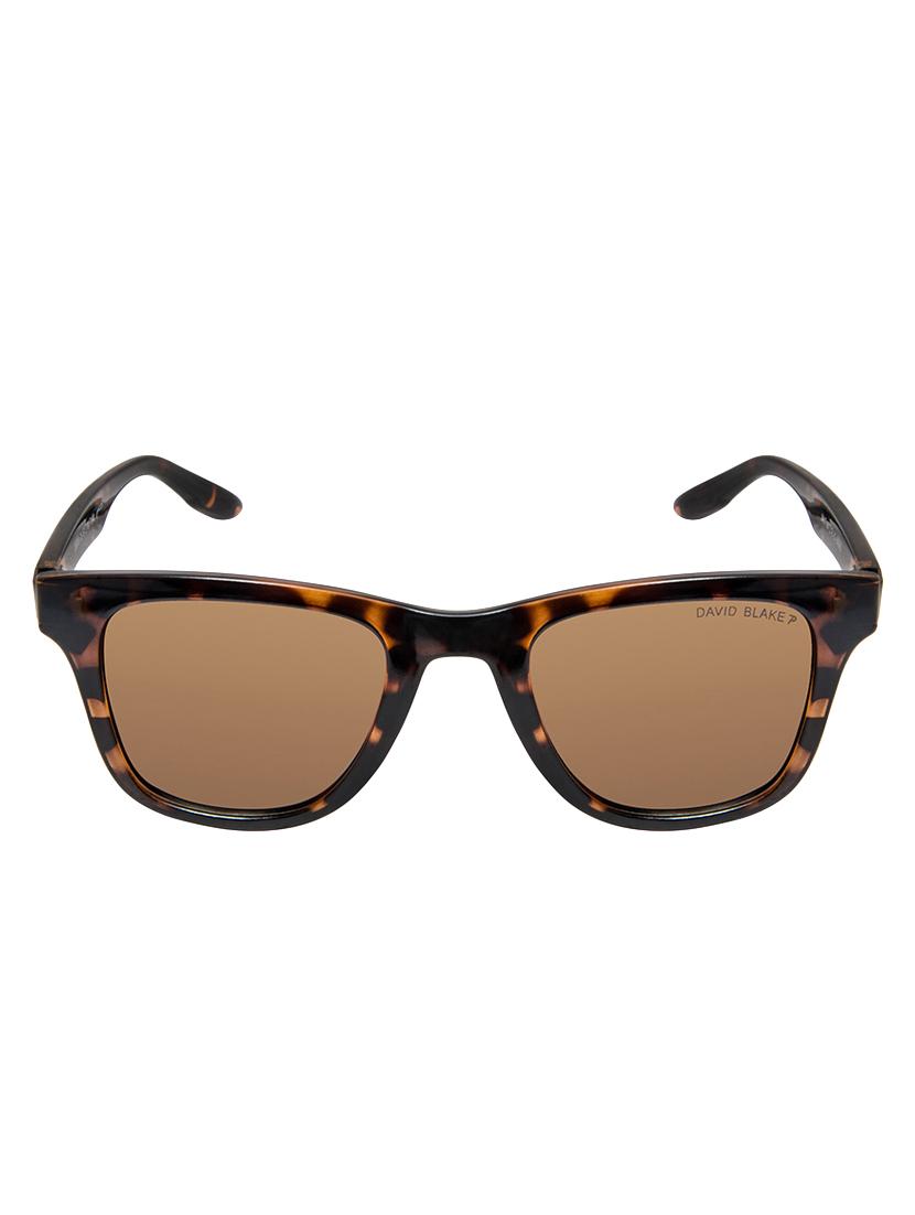 david blake brown wayfarer polarised uv protected sunglass - 16250323 - Zoom Image - 1