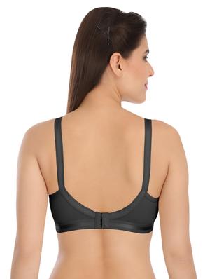 floral patch mesh insert minimizer bra - 16290907 - Standard Image - 3