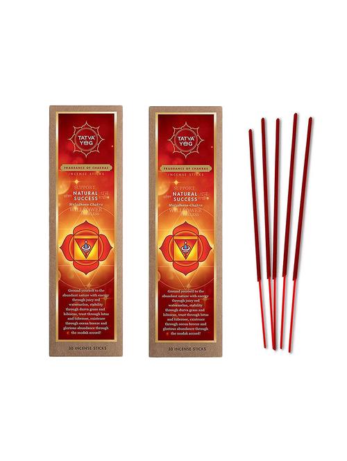 tatva yog natural success premium quality long lasting incense sticks for daily pooja|home (pack of 2 | 30 sticks in each pack) - 16364373 - Standard Image - 1