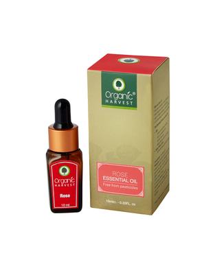 organic harvest rose essential oil, 10ml - 16573469 - Standard Image - 2