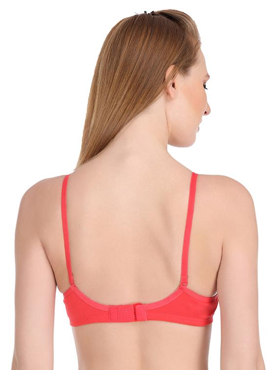 set of 2 bow patch bra - 16587454 - Zoom Image - 5