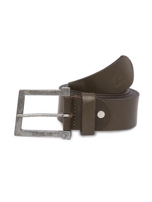green leather belt - 16589017 - Standard Image - 2