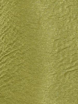 green nylon shorts set - 16591336 - Standard Image - 5