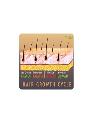 nature sure thumba wonder hair oil for men and women – 1 pack (110ml) - 16629739 - Standard Image - 3