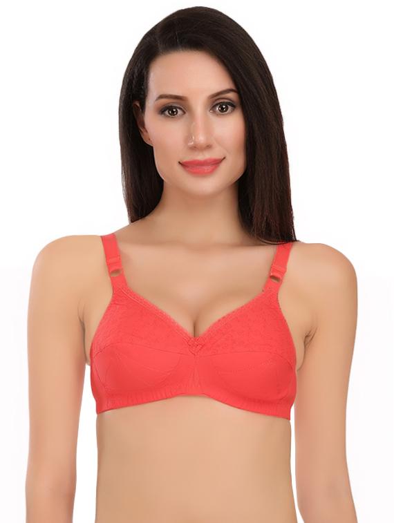 bow patch embroidered bra - 16633643 - Zoom Image - 1