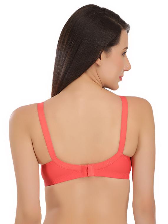 bow patch embroidered bra - 16633643 - Zoom Image - 2