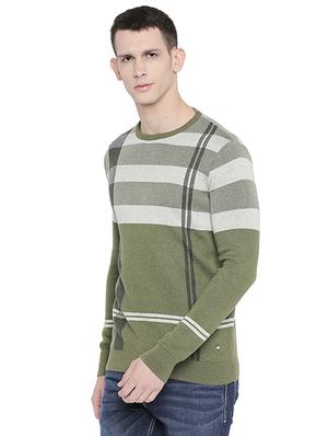 green checkered pullover - 16659398 - Standard Image - 2