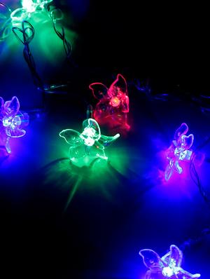 floral design multicolour blazing string lights - 16667742 - Standard Image - 2
