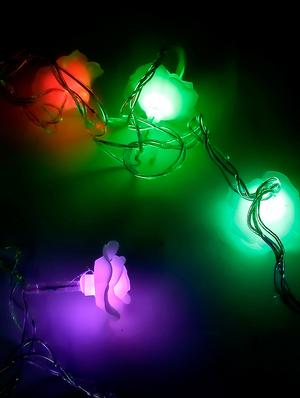 enlightening and sparkling led multi colour string lights - 16667750 - Standard Image - 2