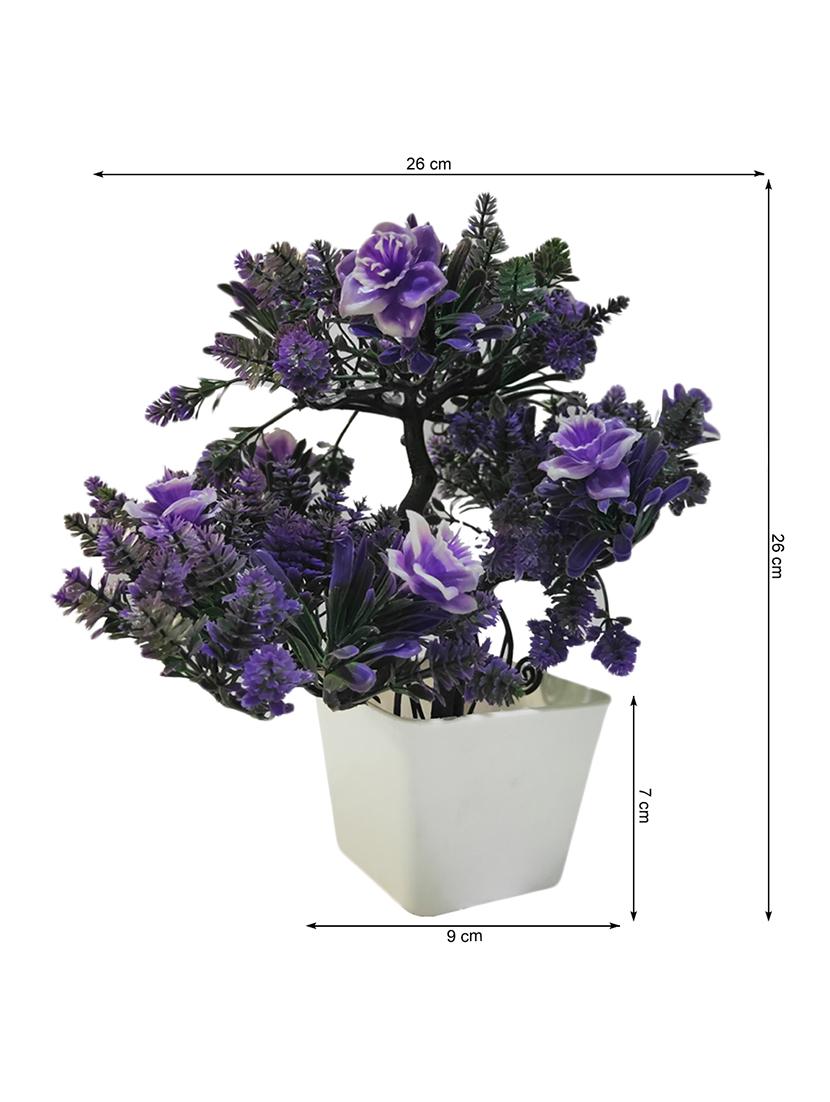 banyan blue wild plant artificial bonsai - 16694136 - Zoom Image - 3