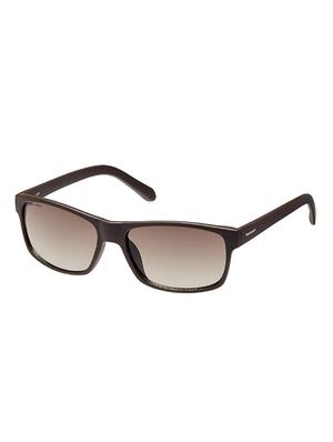 fastrack gradient rectangular unisex sunglasses (p288br1|brown) - 16740572 - Standard Image - 2