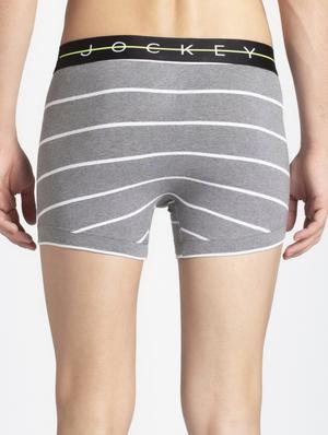 grey striped trunks - 16742861 - Standard Image - 2
