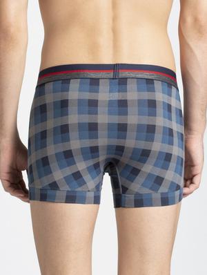 grey checkered trunks - 16742868 - Standard Image - 2