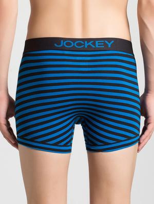 blue striped trunks - 16742877 - Standard Image - 3