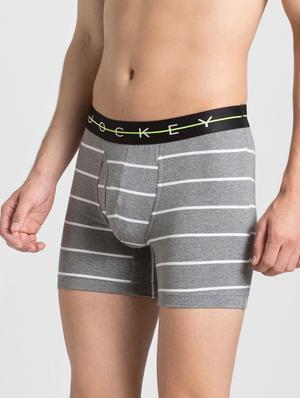 grey striped trunks - 16742967 - Standard Image - 2