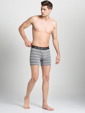 grey striped trunks - 16742967 - Standard Image - 4