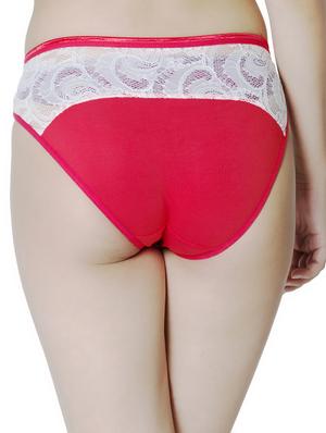 lace detail bikini panty - 16753882 - Standard Image - 2