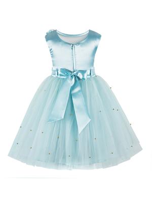 blue net frock - 16797623 - Standard Image - 2