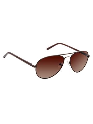 david blake brown aviator sunglasses - 16798182 - Standard Image - 2