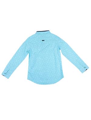 light blue cotton shirt - 16817329 - Standard Image - 2