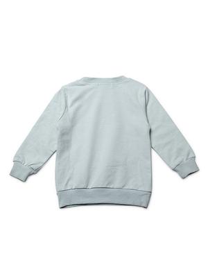 blue cotton sweatshirt - 16822833 - Standard Image - 2