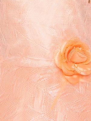 orange net frock - 16828188 - Standard Image - 3