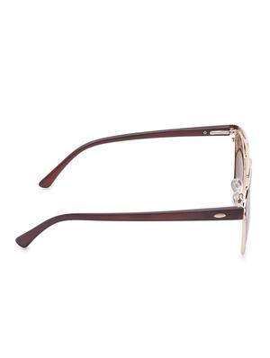 globus brown wayfarer sunglasses - 16831122 - Standard Image - 3