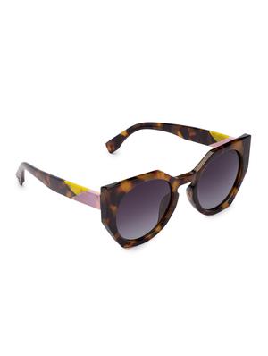 globus brown full rim wayfarer sunglasses - 16831175 - Standard Image - 2