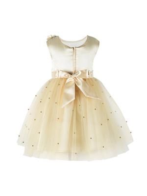 gold net frock - 16832838 - Standard Image - 2