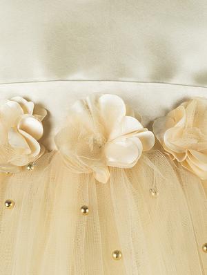 gold net frock - 16832838 - Standard Image - 3