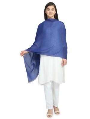 blue viscose scarf - 16843699 - Standard Image - 2