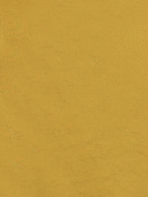 floral kanjivaram saree with blouse - 16870128 - Standard Image - 5