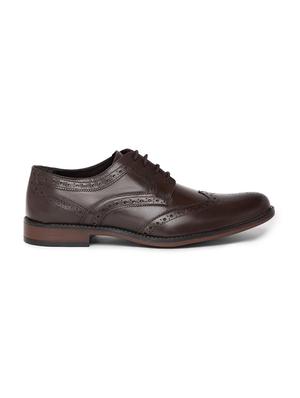 brown leather laceup brouges - 16872128 - Standard Image - 2