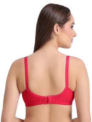set of 2 laced bra - 16895806 - Standard Image - 5