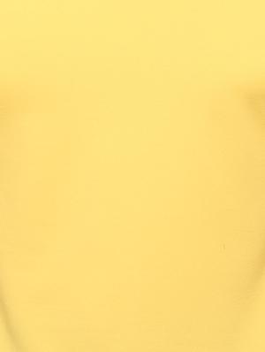yellow solid t-shirt - 16957888 - Standard Image - 4