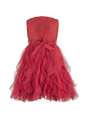 red net frock - 16993408 - Standard Image - 2