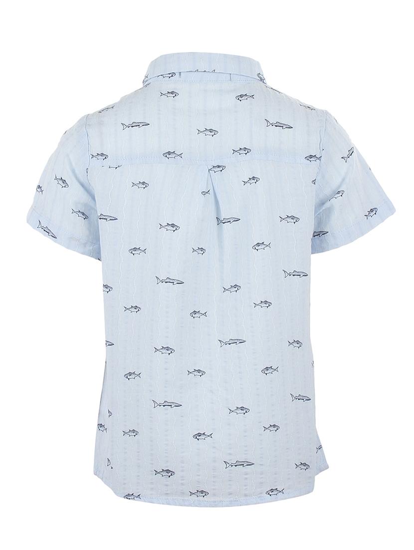 blue cotton shirt - 17019758 - Zoom Image - 2