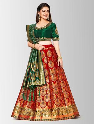 self design panneled lehenga - 17020575 - Standard Image - 2
