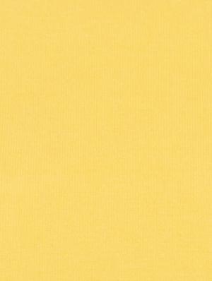 yellow cotton tshirt - 17078003 - Standard Image - 3