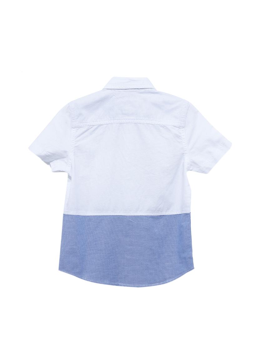 blue cotton shirt - 17173149 - Zoom Image - 2