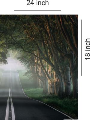 digital print forest road wallpaper - 17193600 - Standard Image - 3