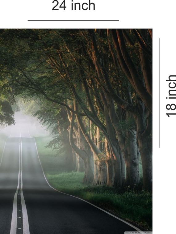 digital print forest road wallpaper - 17193600 - Zoom Image - 3
