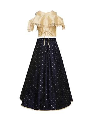navy blue silk blend lehnga choli - 17202128 - Standard Image - 3