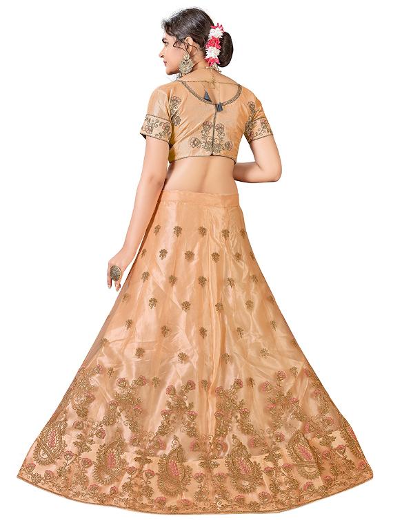 embroidered a-line lehenga - 17205981 - Zoom Image - 2