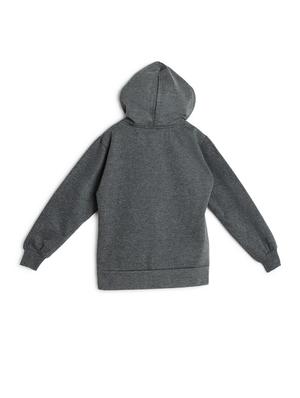 grey fleece sweatshirt - 17243968 - Standard Image - 2