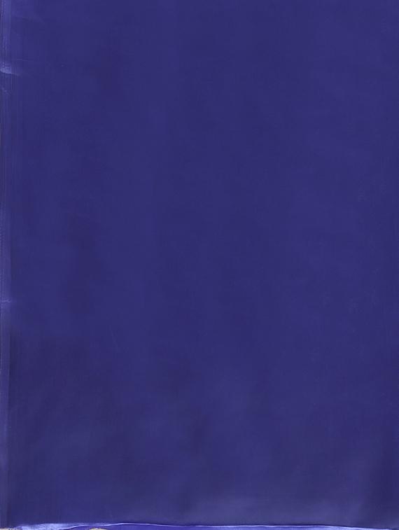 solid plain saree with blouse - 17259013 - Zoom Image - 5