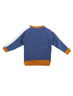 blue cotton sweatshirt - 17265556 - Standard Image - 2