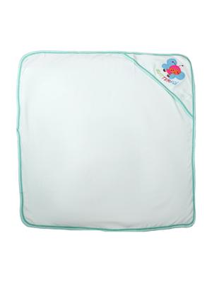 green fleece blanket - 17271573 - Standard Image - 2